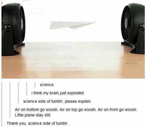 Science side of Tumblr. - meme