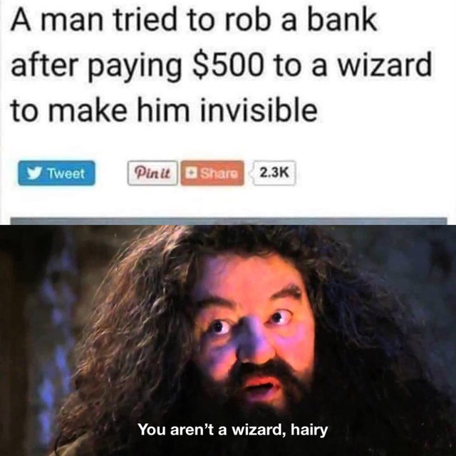 A man tried to rob a bank after paying $500 to a wizard to make him invisible - meme