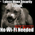 Real security