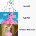 Netflix Adaptation