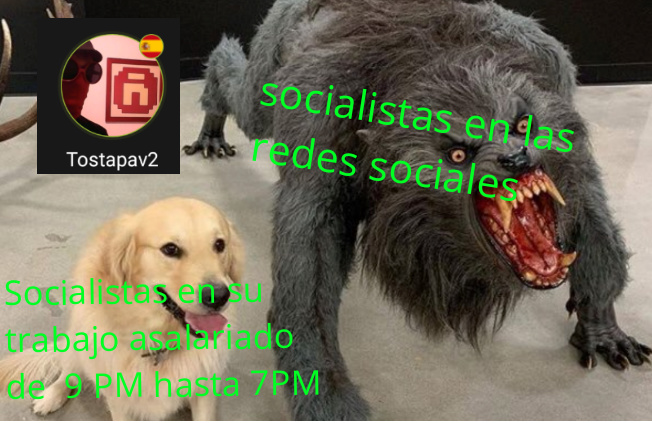 Socialistas - meme
