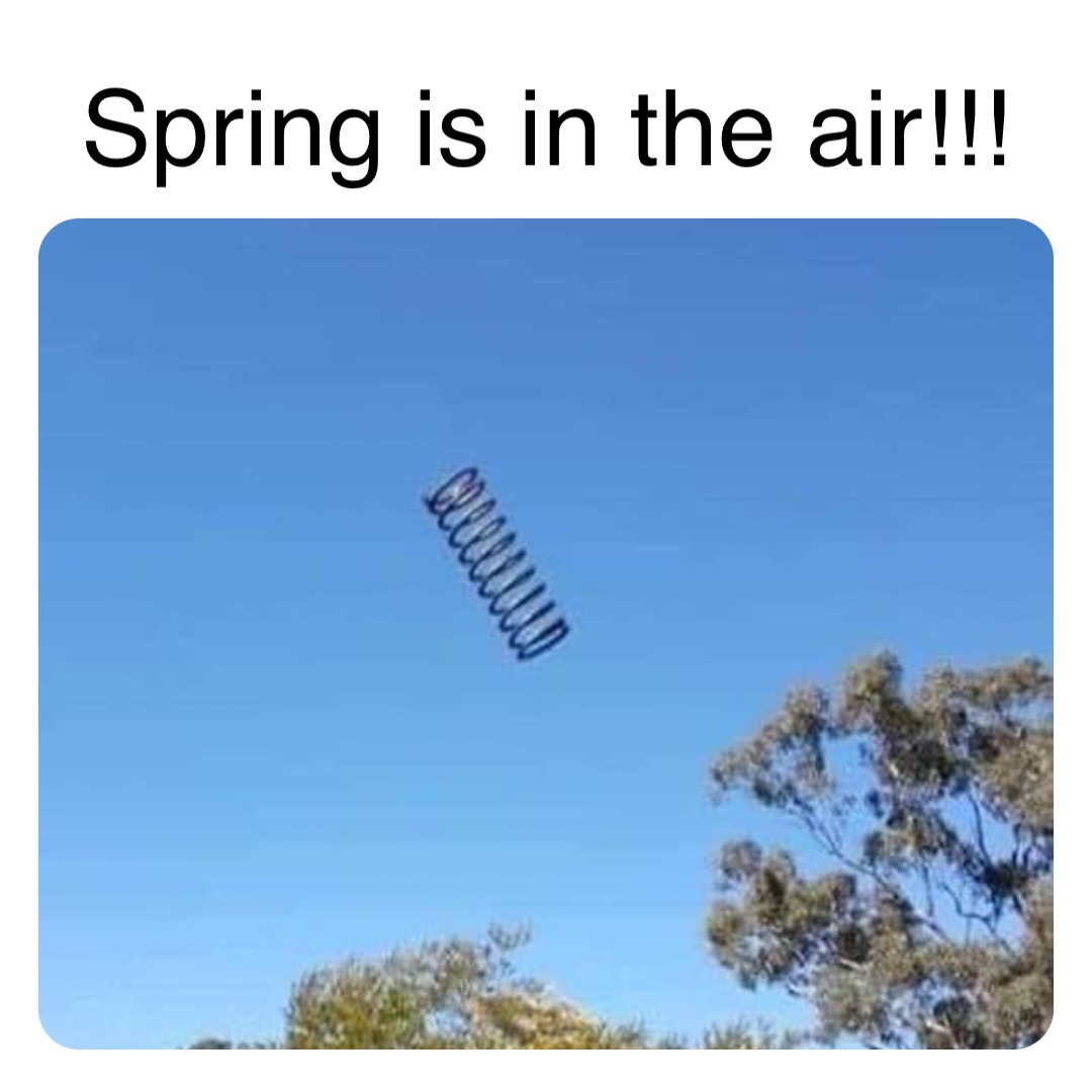 Spring is in the air - meme