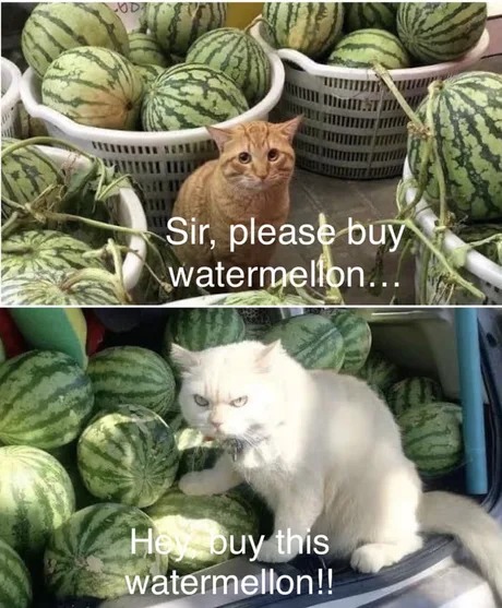 buy watermellon - meme
