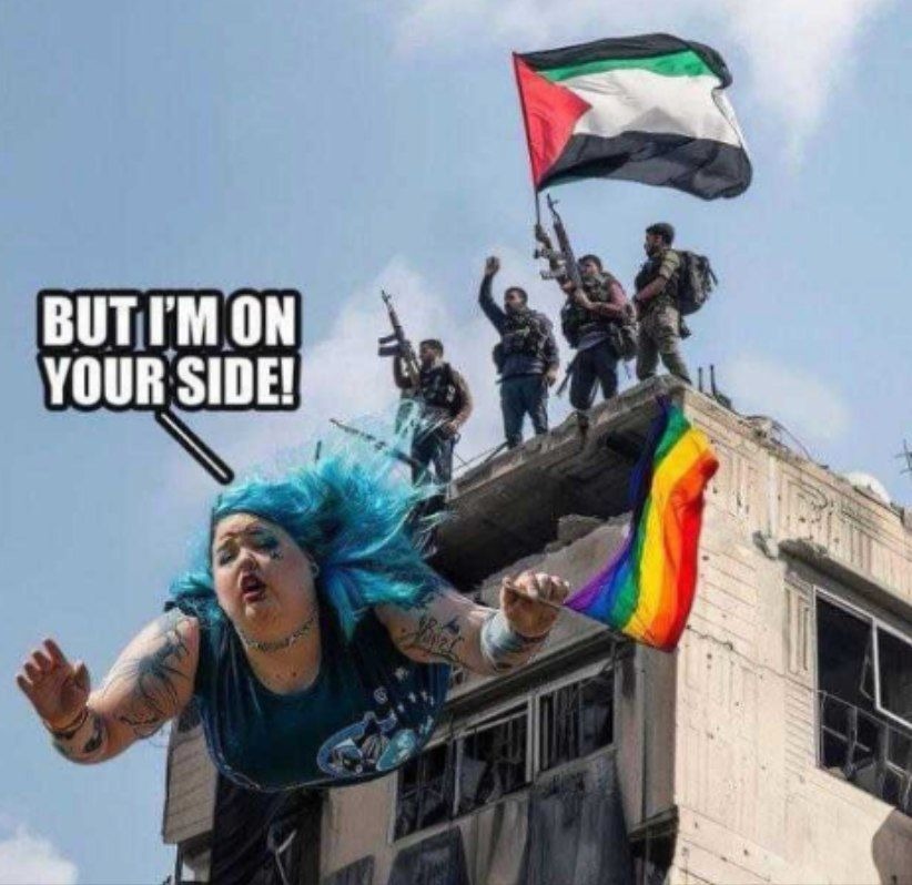Cows for McDonalds, queers for Palestine, chickens for KFC - meme