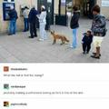 comment what the fox is withdrawing money for...i say big booty hoes