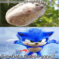 Sonics what?