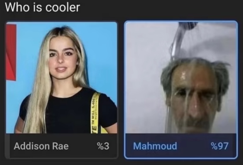 Mahmoud - meme