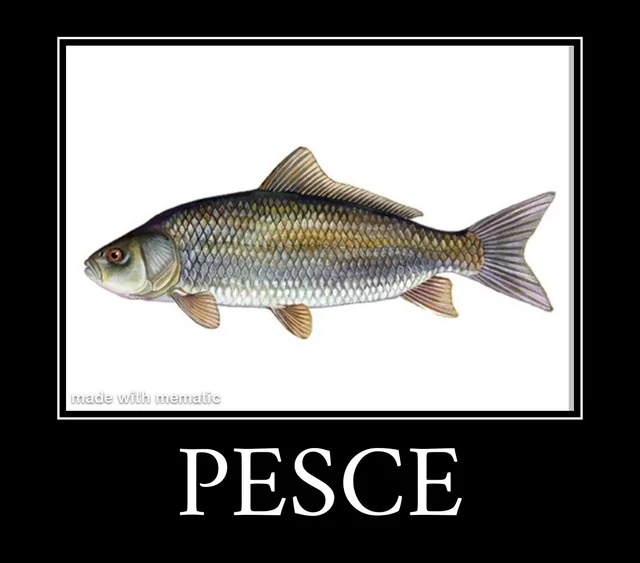 Pesce - meme
