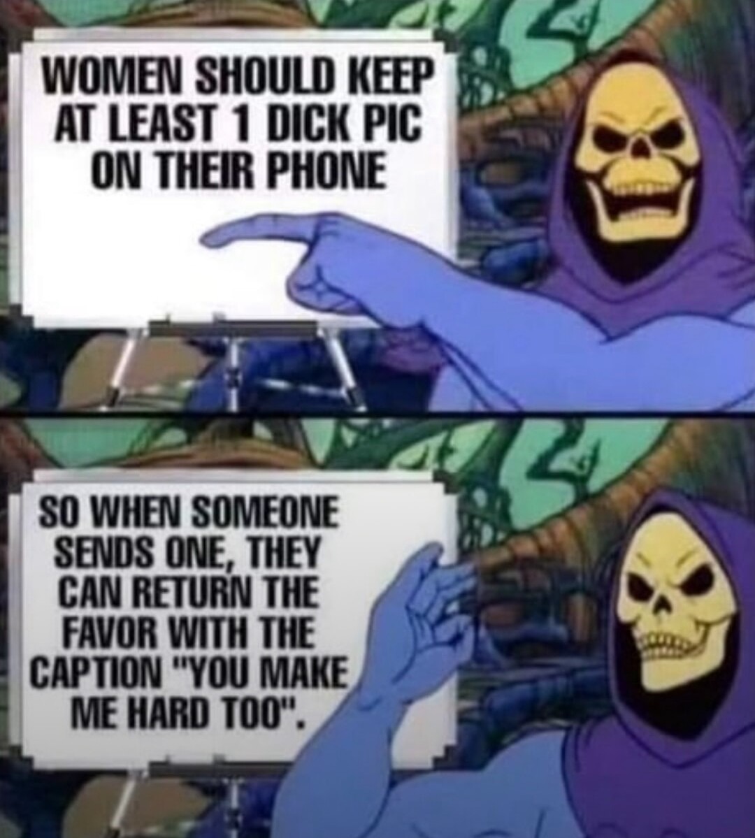 Needed to have posted my own skeletor meme