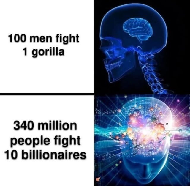 Gorilla vs 100 dudes vs America vs billionaires... choose your fighter - meme