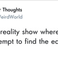 Reality show for flat earthers