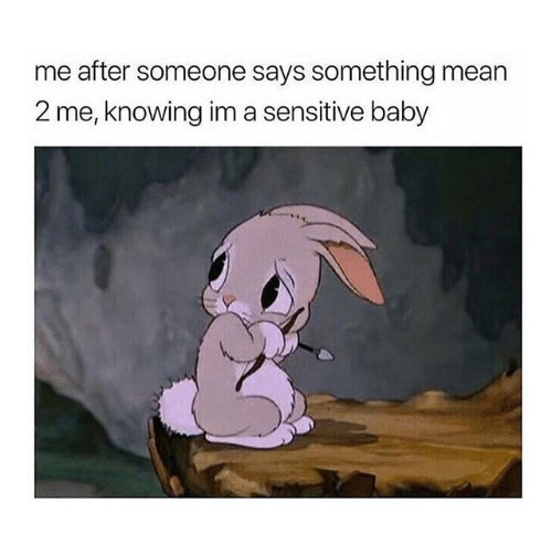 I'm sensitive, you know - meme