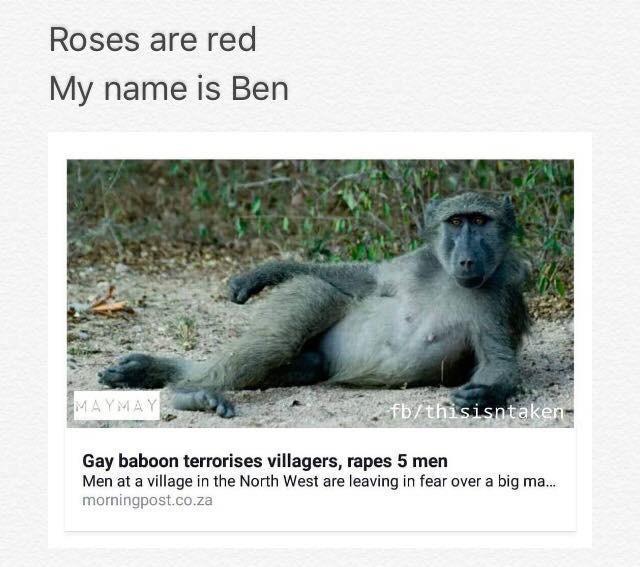 Gay Baboon - meme