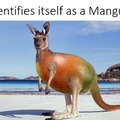 Skippy, the Manguroo