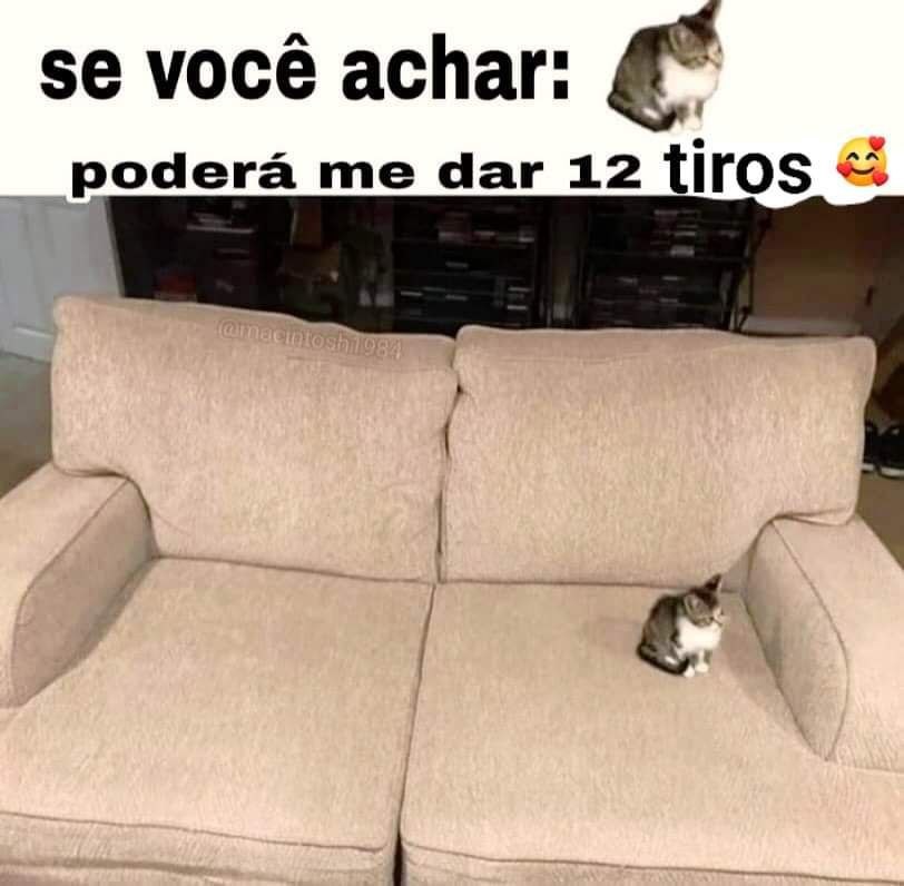 caraio - meme