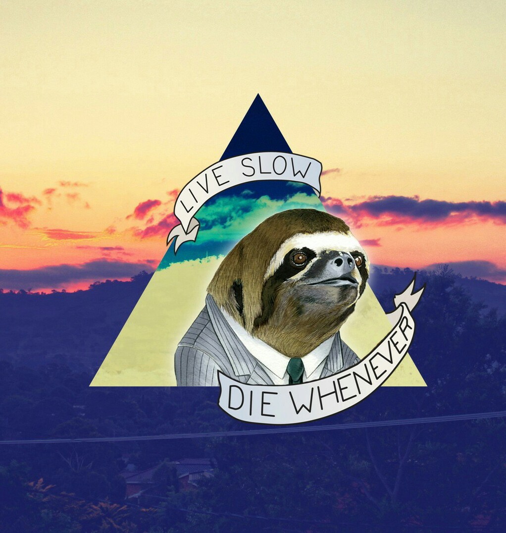 Sloths are chill - meme