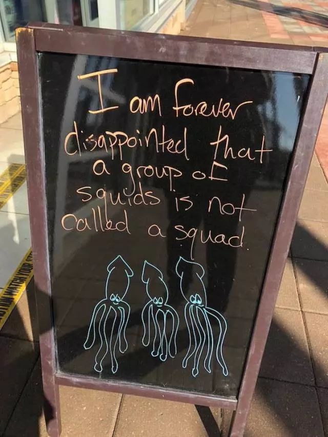 Squid Squad - meme