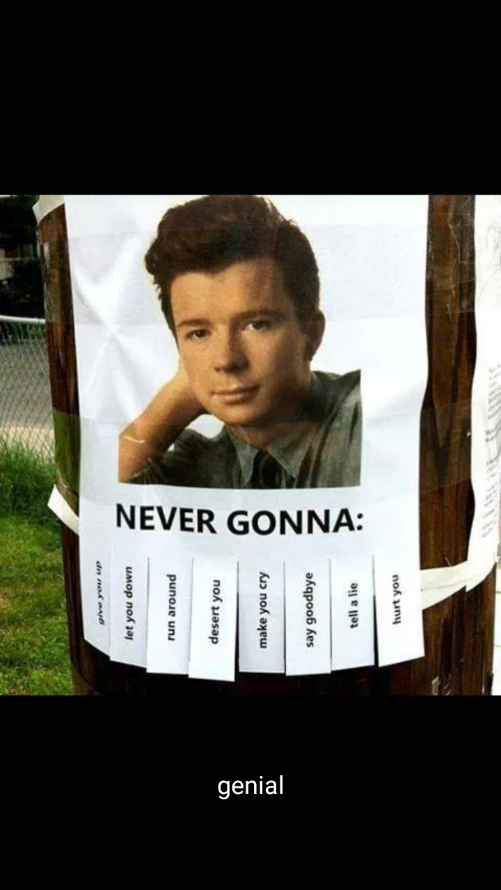 Never Gonna.. - meme