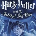 the only harry potter book i would read