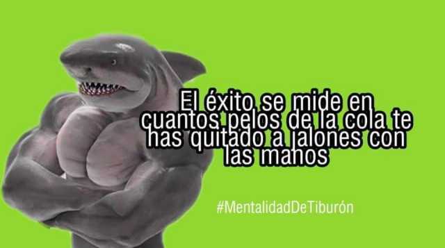 #MentalidadDeTiburon - meme