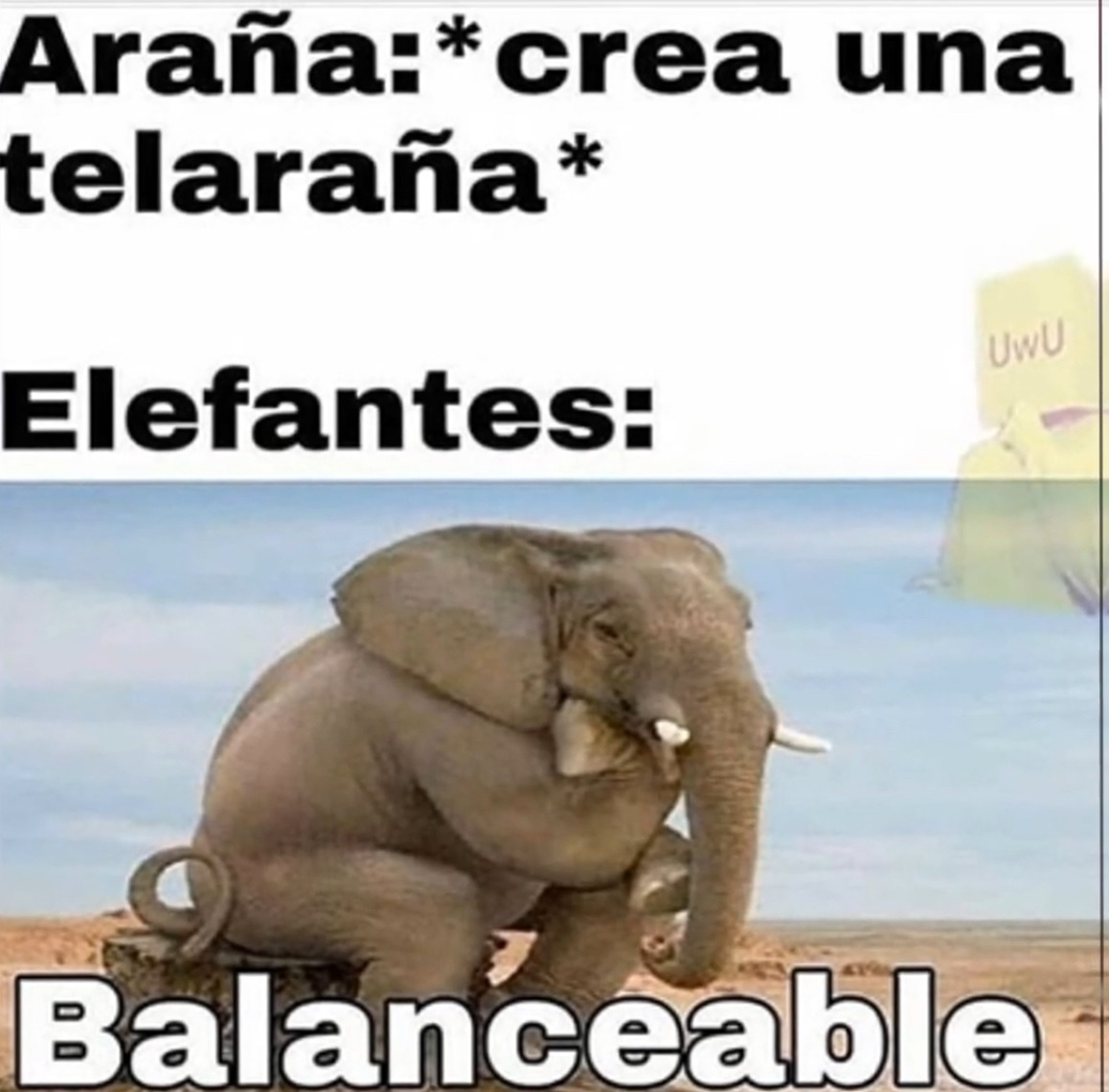 balanceable - meme