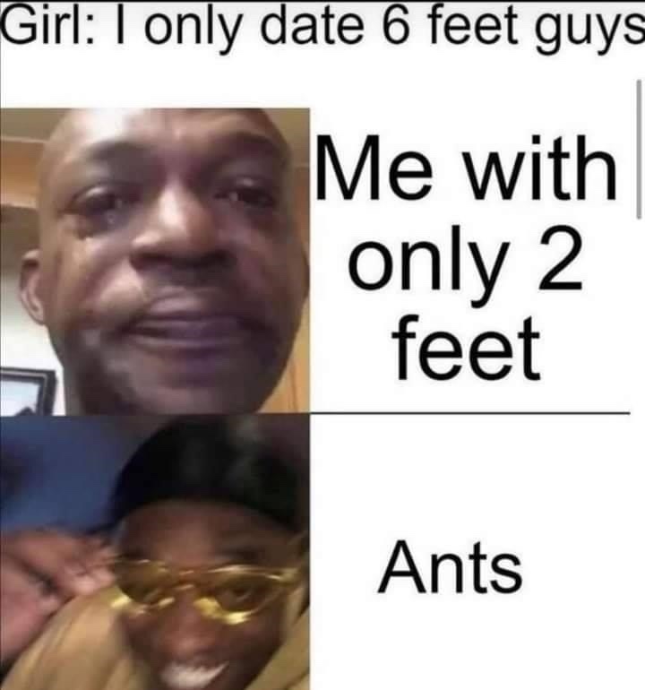 lucky ants - meme