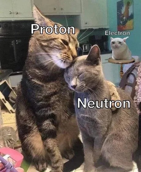 Cats and atoms - meme