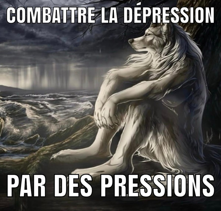 Dépression? Non frère, pressions - meme