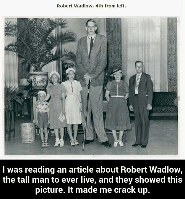 The tall man to ever live - meme