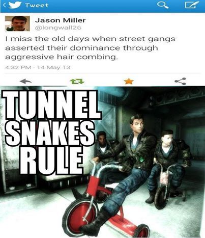 Tunnel Snakes Rule!!!!! - meme