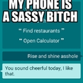 my phone is a sassy bitch