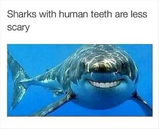 Shark teeth - meme