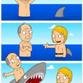 Shark!!!!