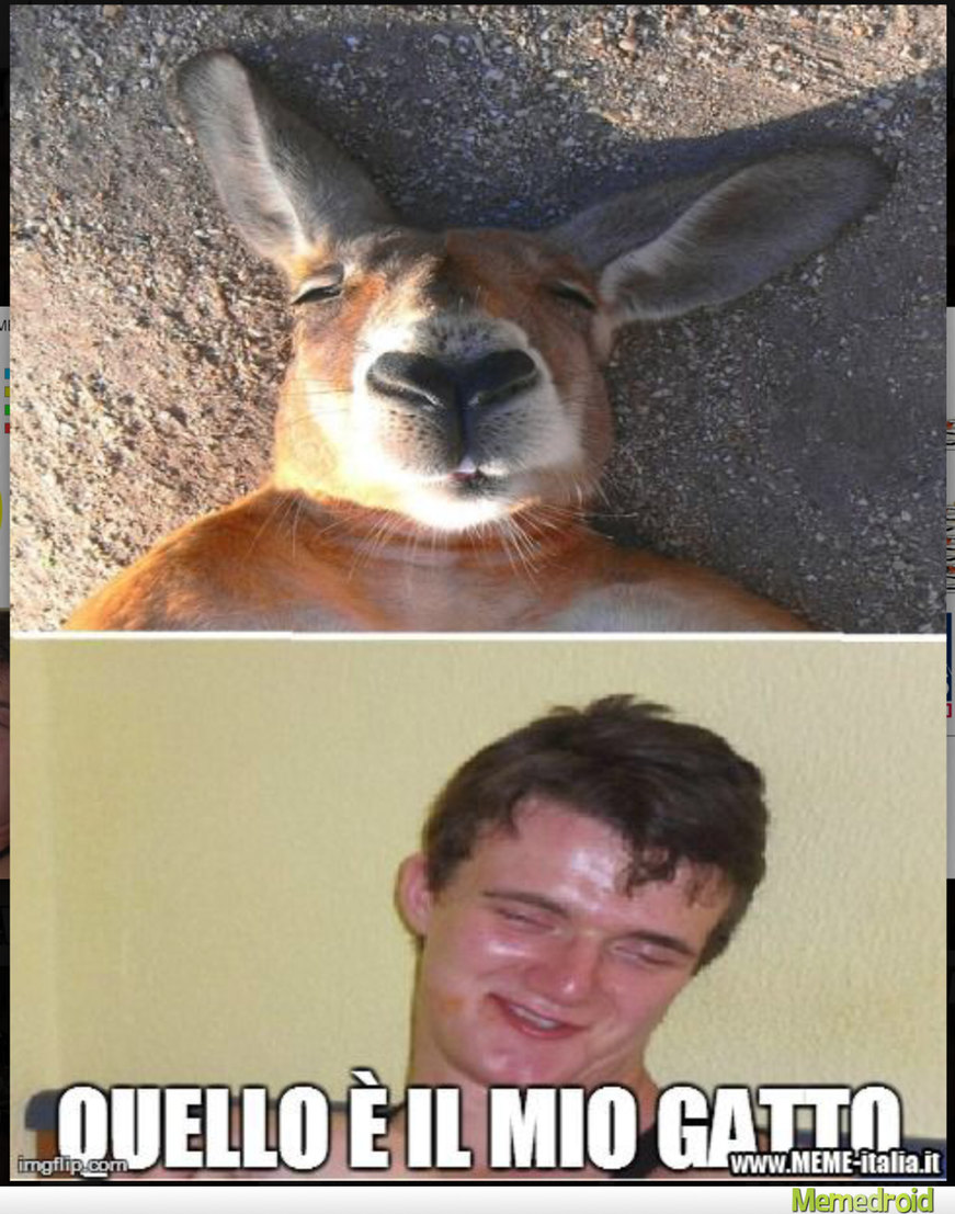 Il canguro di stanley stoner - meme