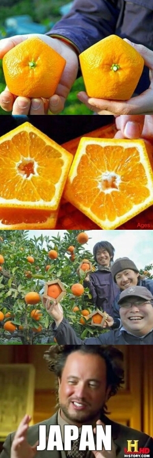 Naranjas cuadradas - meme