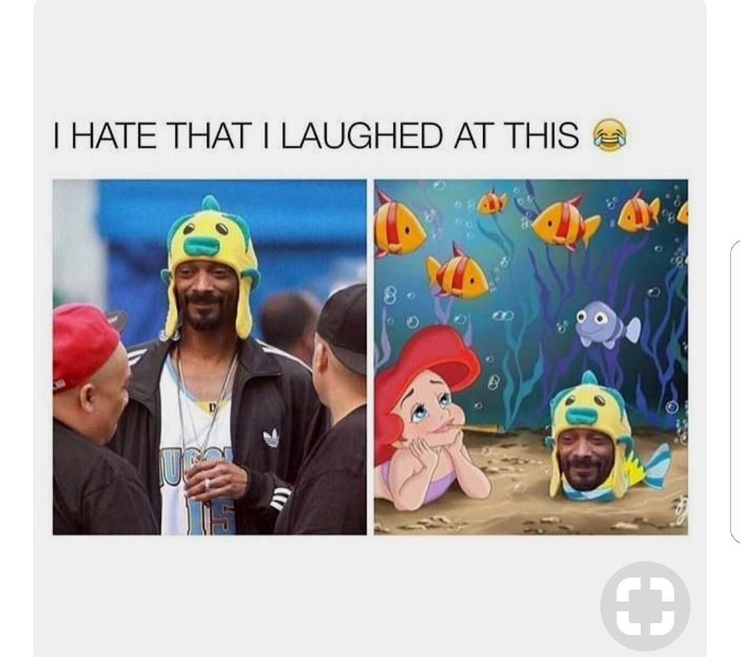 Snoop fish. - meme
