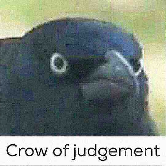 You have seen the deep fried crow of judgement - meme