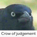 You have seen the deep fried crow of judgement