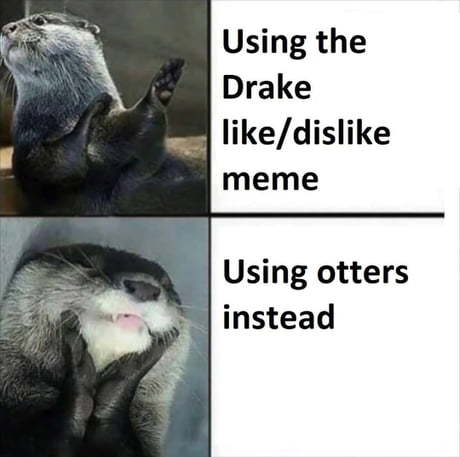 Otters > Possum - meme