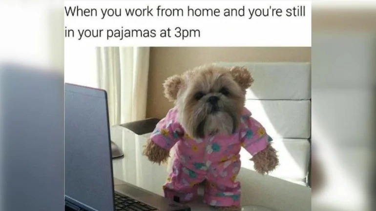 Working from home be like: - meme