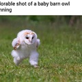 baby barn running