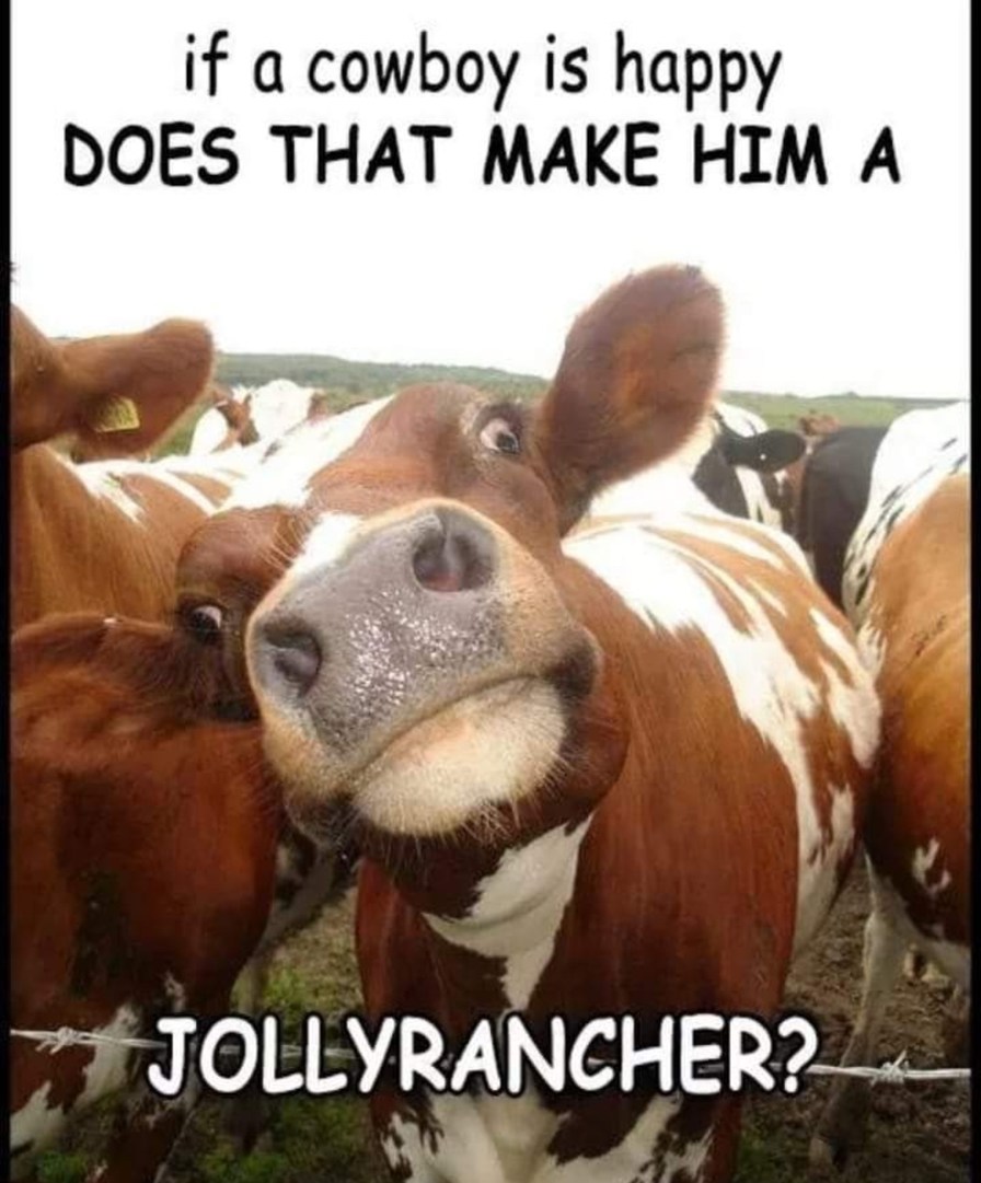 Jolly Rancher - meme
