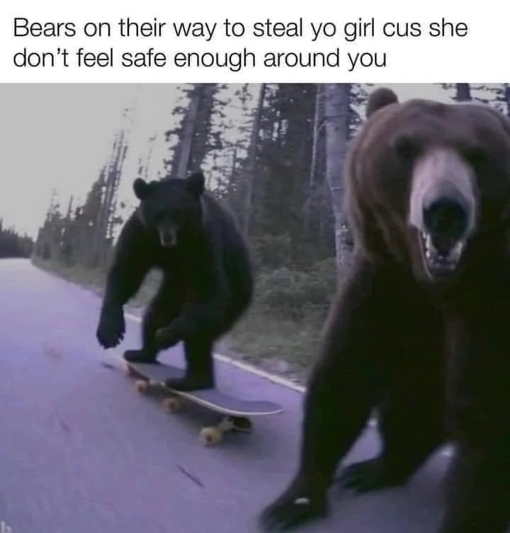 Bears on their way to steal your girl - meme