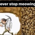 Cat meows sound like crying babies to the human brain