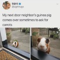 commented item thumbnail