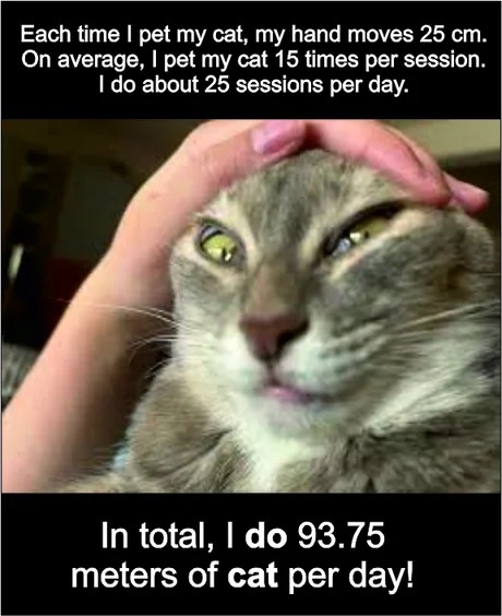 accurate cat maths - meme