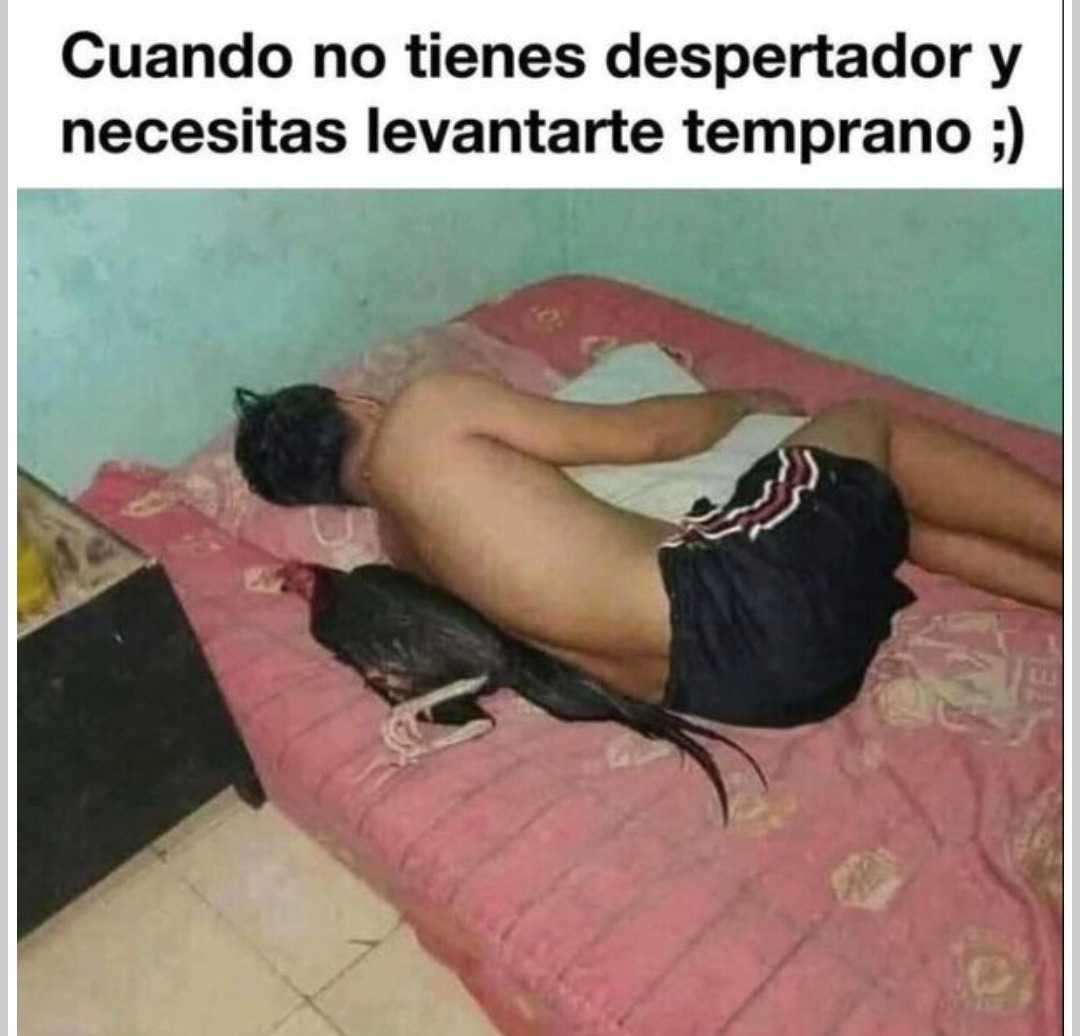 yo tratando de despertarme sin despertador... modo supervivencia activado - meme