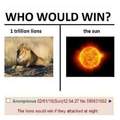 I think lions win