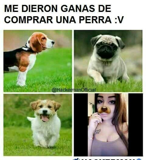 fiesta de positivos :D - meme