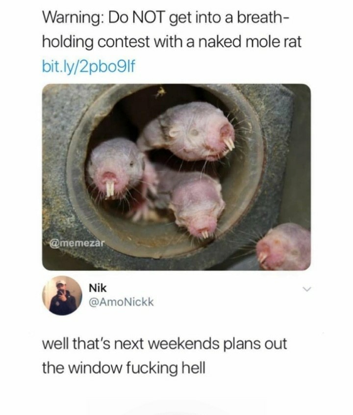 Naked - meme